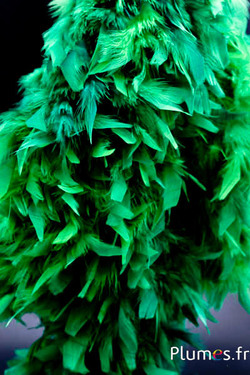 Boa piume di gallo - 4 pieghe, 2 m - verde